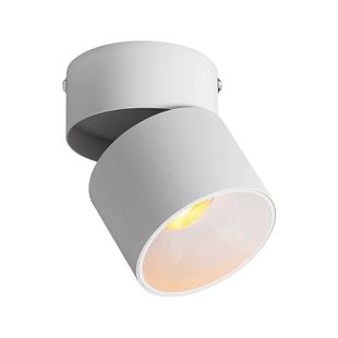 明装夕阳射灯日不落洗墙可调角度家用嵌入客厅玄关照画氛围灯照明