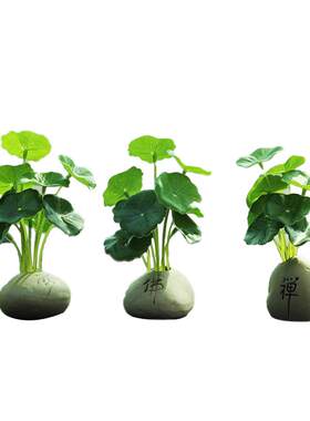 禅意佛系小荷叶铜钱草摆件