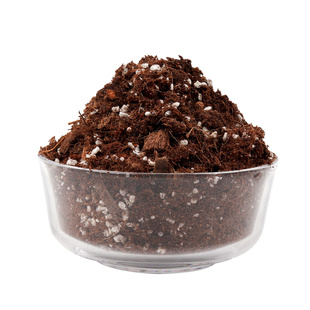 蓝莓专用土营养土盆栽酸性土壤种植土泥炭土疏松透气有机花土花泥