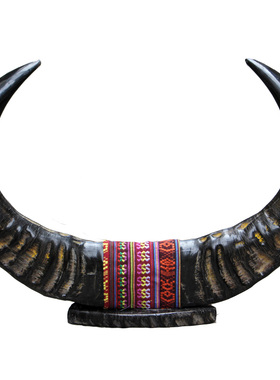 知梳世家天然牛角整角装饰摆件