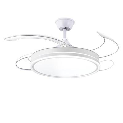 志高包安装全光谱隐形风扇灯