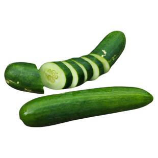 蒙克黄瓜种子皮薄多汁浓郁低酸高产无刺传家宝春秋室内阳台种菜