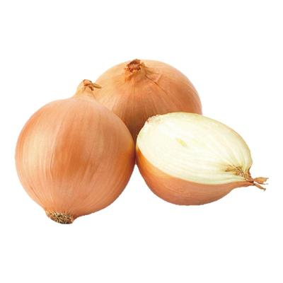 【老一生鲜】新鲜斤装黄洋葱