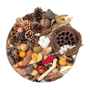 手工diy材料混装花材松果干花松塔橡果干树枝天然植物幼儿园环创