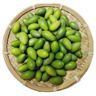 新鲜水果当季现摘广东特产正宗潮汕金灶青橄榄果生吃非灵峰甜橄榄
