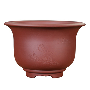 宜兴紫砂花盆兰花盆带底座透气君子兰绿植盆景陶瓷花盆兰草专用盆