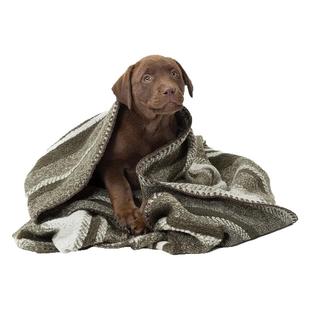 【Cloud7狗狗毛毯】德国高奢摇粒绒狗毛毯小中大型犬现货正品保证