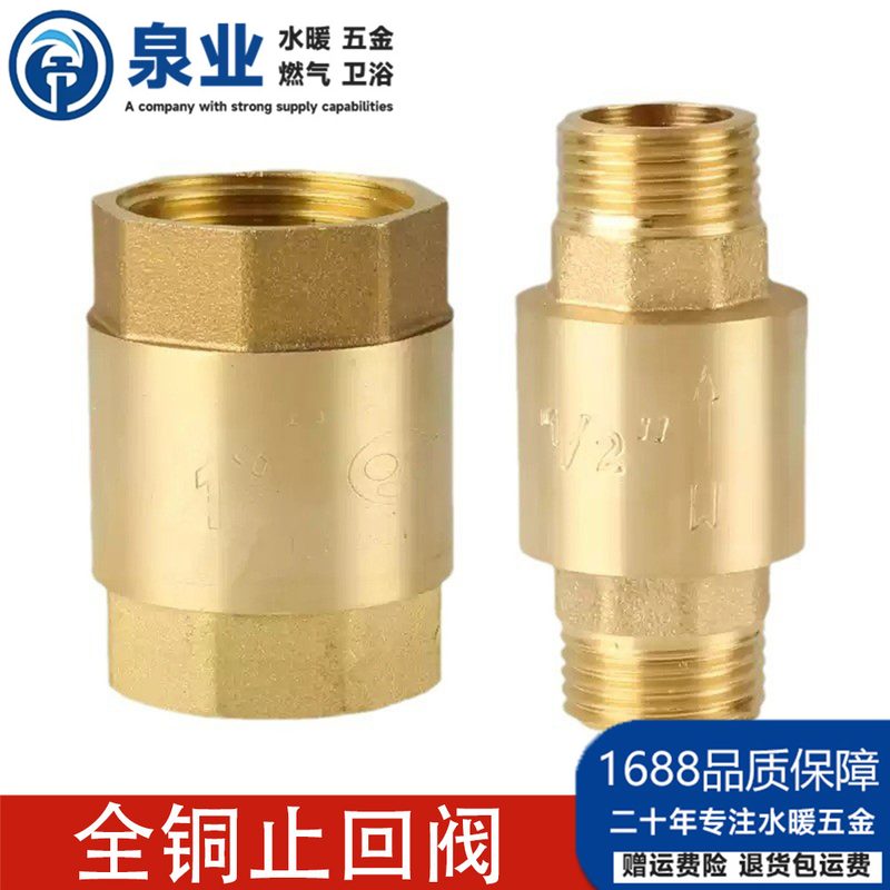 止回阀黄铜立卧式4/6分逆止20/25PPR热熔双活接自来水管表单向阀
