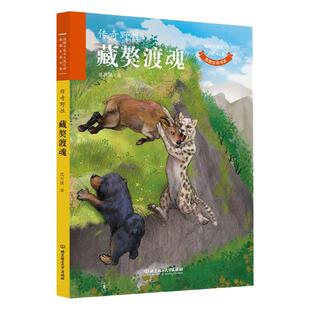 正版 藏獒渡魂动物小说大王沈石溪.致敬生命书系 童书 儿童文学 动物小说 沈石溪