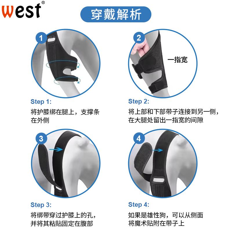 跨境热销宠物狗护腿韧带撕裂关节保护绑带受伤支撑架带狗护具复