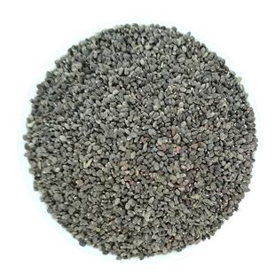 可食用薄荷种子盆栽四季驱蚊易活室内室外种子孑植物花卉花籽香草