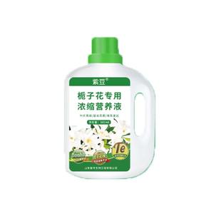 栀子花营养液防黄叶干尖焦边枯萎掉花苞黑斑枯叶病喜酸性植物肥料