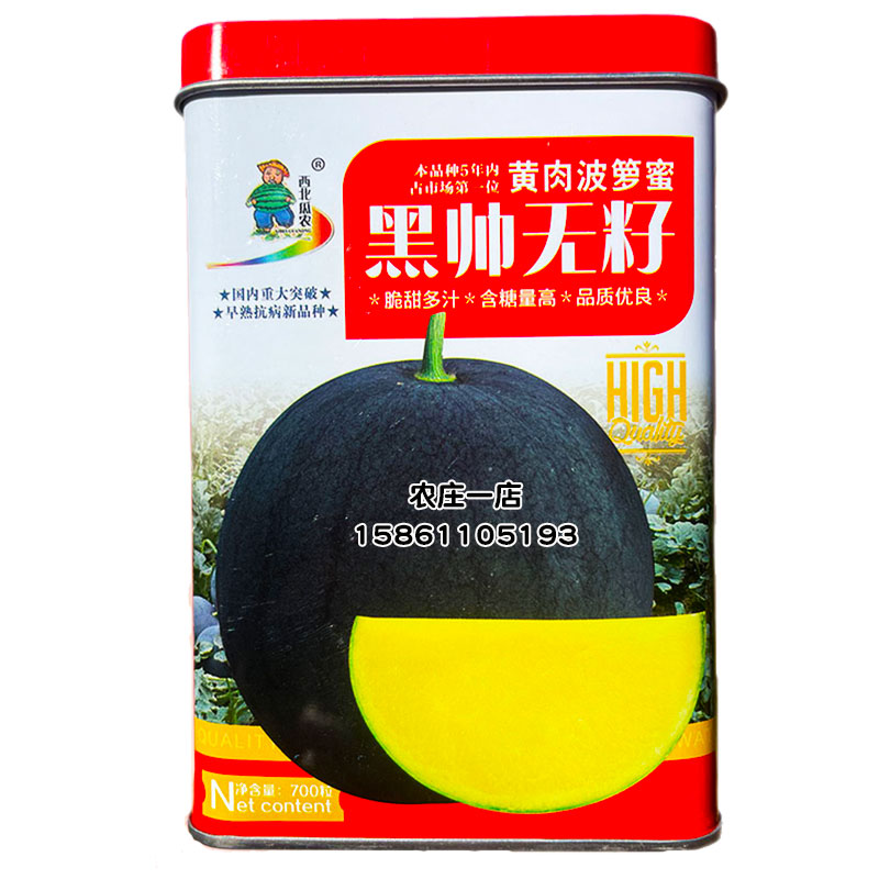 黑皮黄瓤无籽西瓜种子瓜农专用