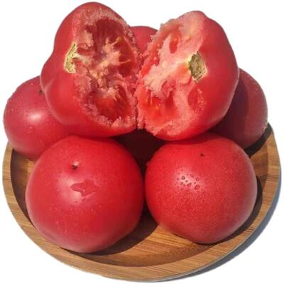 陕西泾阳普罗旺斯水果西红柿5斤包邮新鲜生吃自然熟孕妇沙瓤番茄