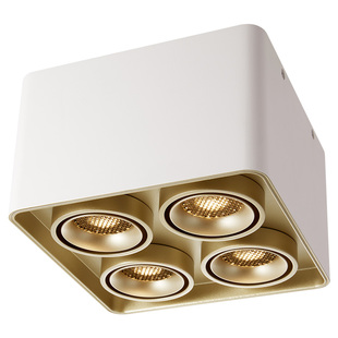 德国柏曼护眼全光谱斗胆灯 防眩射灯明装筒灯客厅无主灯照明灯具