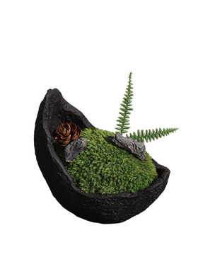 天青苔绿 新中式永生苔藓微景观 样板间家居儿童房桌面迷你小摆件
