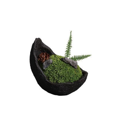 天青苔绿 新中式永生苔藓微景观 样板间家居儿童房桌面迷你小摆件
