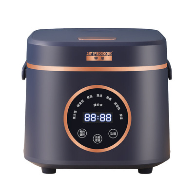 半球电饭煲家用蒸煮电饭锅