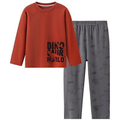 英博伦男童睡衣2025新款春秋季儿童家居服男孩纯棉a类长袖中大童