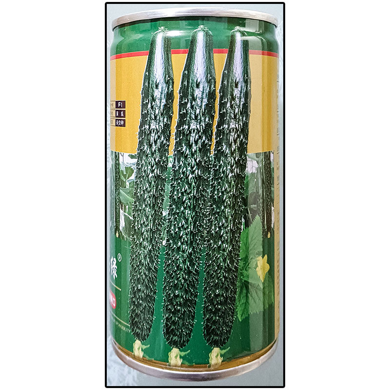 油亮满芯绿青黄瓜蔬菜种子孑籽