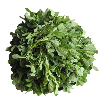 紫花苜蓿草种籽多年生牧子四季