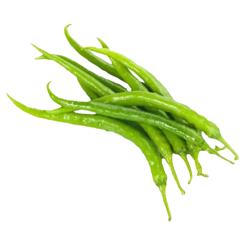 二荆条辣椒秧苗辣椒苗子四季盆栽