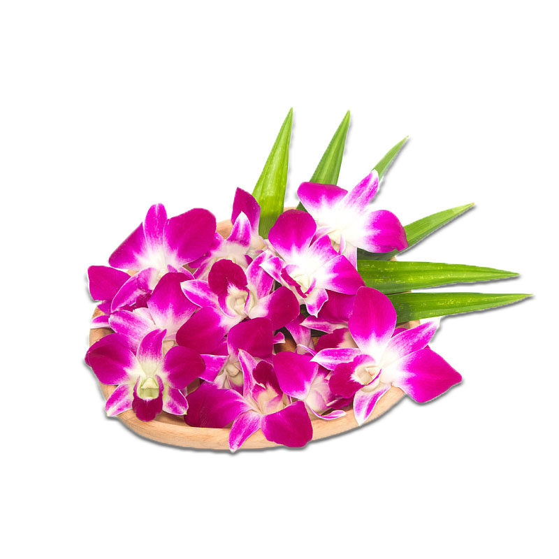 【千牛优福】洋兰花250g新鲜杨兰花马兰花石斛兰点缀摆盘装饰花朵