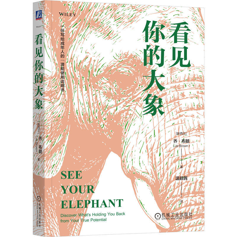 官网正版 看见你的大象 乔 布朗 把情绪变成策略,制造可控的失控 潜能 倦怠 个人障碍 自我觉察 机械工业出版社