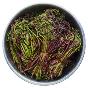 东北长白山猴腿菜新鲜盐制山菜精选无老根胖嫩菜凉拌菜非蕨菜包邮