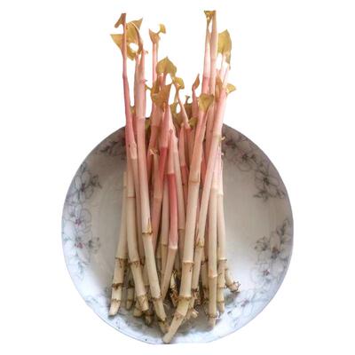 新鲜鱼腥草嫩芽儿折耳根嫩尖野菜