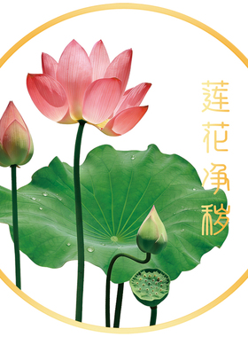 新年莲花净秽静电窗花防撞贴