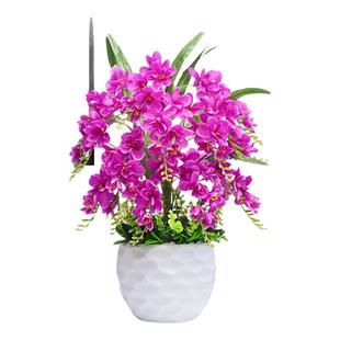 蝴蝶兰清仓捡漏仿真花假花摆设客厅餐桌花摆花绿植盆栽摆件装饰品