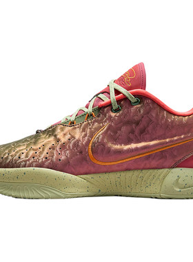 Nike/耐克正品LeBron XXI EP男士詹姆斯实战篮球鞋FN0709-800