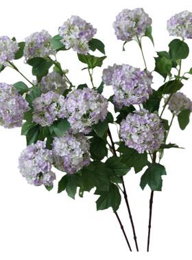 仿真花木绣球花束幸运雪球假花客厅餐桌摆件酒店婚庆高档插花摄影