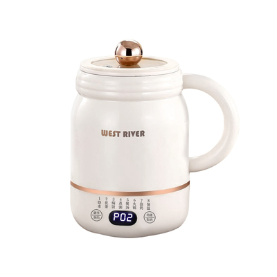 德国智能养生烧水炖锅小型办公室煮粥炖煮茶一体电热水壶2025新款