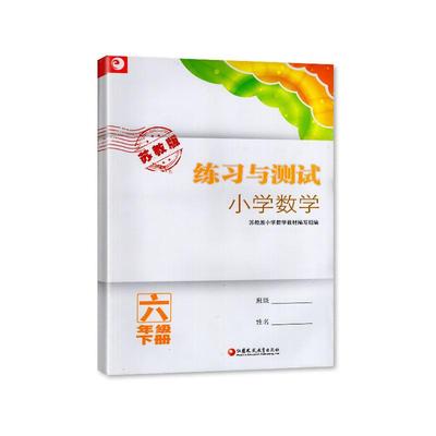 2024苏教版 小学数学练习与测试6六年级下册 江苏凤凰教育出版社