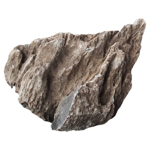 天然青龙石一石一拍鱼缸造景石附树石盆景石桌面阳台造景景观石