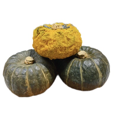 只卖惠和1号贝贝南瓜粉面栗子香