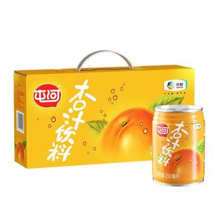 中粮屯河杏汁果汁礼盒250ml*10罐果蔬汁饮料轻食