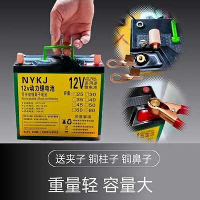 12V锂电池大容量大功率逆变器抽水泵割草机音响等专用动力锂电池