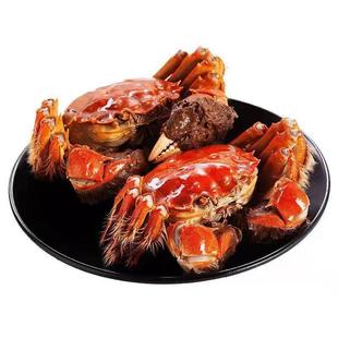 兴化红膏大闸蟹全程喂鱼蟹鲜活大闸蟹精品足斤足量红膏蟹现货公母