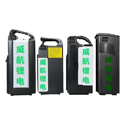 全新携成48v踏板电动车锂电池