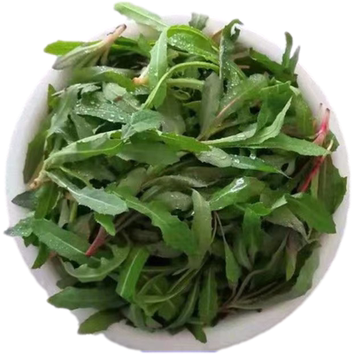 山东野菜曲麻菜新鲜野生顺丰包邮
