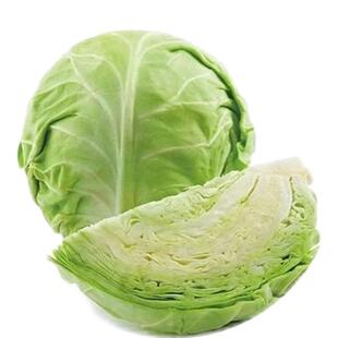 新鲜包菜卷心菜莲花白青绿甘蓝绿叶蔬菜当季农家自种现摘沙拉菜