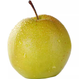 玉露香梨山西隰县正宗原产地新鲜采摘梨子皮薄脆甜嫩无渣应季水果