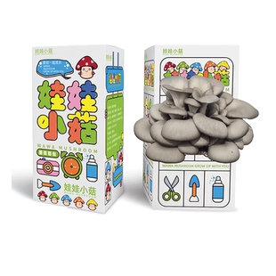 平菇粉红蘑菇菌包食用菌棒简单盒装蘑菇种植盒阳台礼盒蘑菇种植包