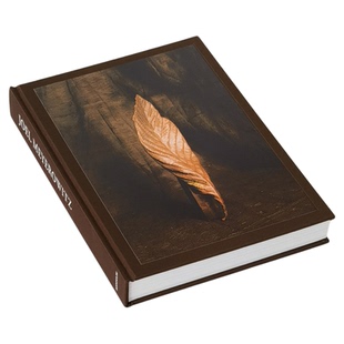 大开本布面真书样板房售楼处酒店会所陈列中古风装饰书籍侘寂摆件