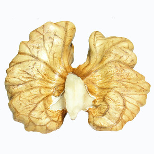 2025年生核桃仁新货500g新鲜原味散装薄皮大核桃仁肉孕妇零食坚果