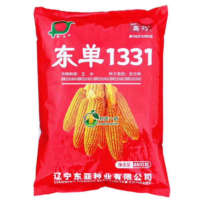 高产老玉米种子大田玉米种籽饲料