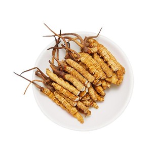 【多买多送】西藏山南地区高海拔野生特大断草肉草非那曲冬虫夏草